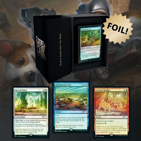 MTG Secret Lair: Every Dog Has It's Day Foil 